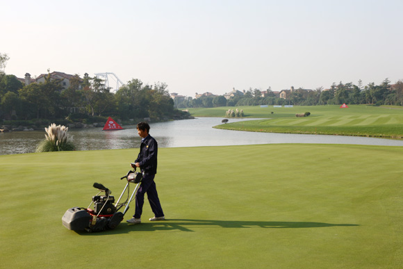 1590496615949152.jpg 3b182667a0b1702d8cf7c8878f8229b1.jpg