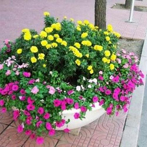 1590496649194936.jpg Fgc5jelo347zqdF7Sze4yOjZn9k7.jpg