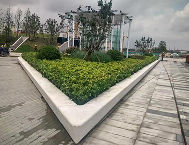 1592356884930147.jpg 12.jpg