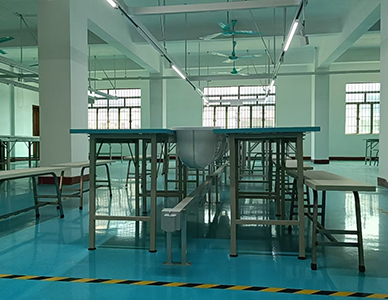 1761794412491559.jpg 21.jpg