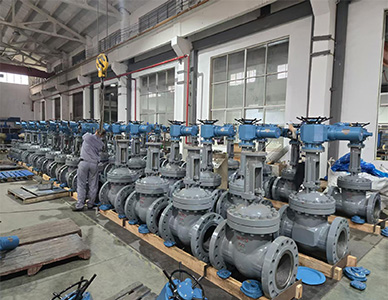 1762308744132977.jpg 5.jpg