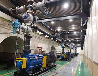 1762309130684802.jpg 14.jpg