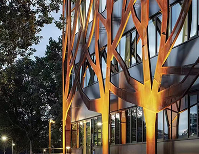 1765251219611047.jpg 案例3.jpg