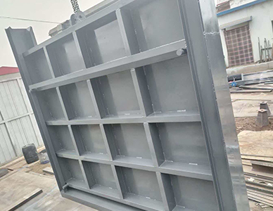 1769499925807005.jpg 8.jpg