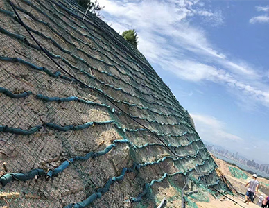 1769500500565206.jpg 9.jpg