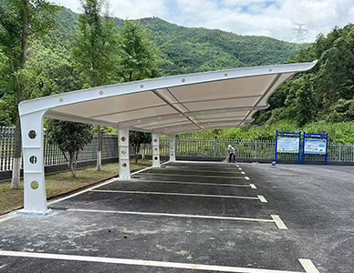 1769501208743390.jpg 16.jpg