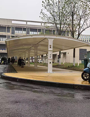 1769501232155457.jpg 15.jpg