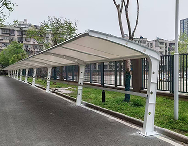 1769501524448572.jpg 18.jpg