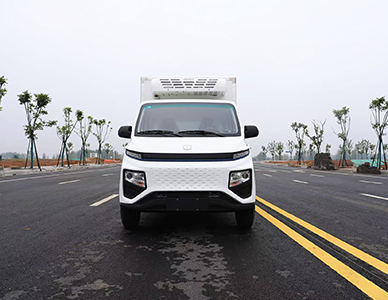 1773643369791679.jpg 9.jpg