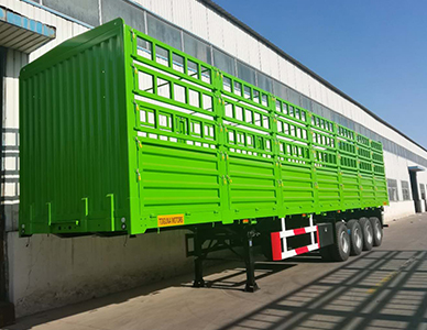 1773646543279249.jpg 3.jpg