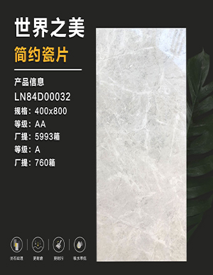 1775810740114426.jpg 瓷片-400x800mm.jpg