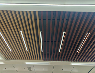 1775813508540302.jpg 16.jpg